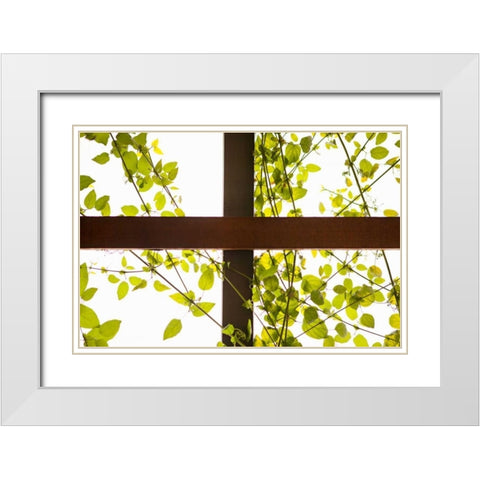 Branches and Lattice White Modern Wood Framed Art Print with Double Matting by Millet, Karyn