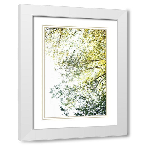 Trees II White Modern Wood Framed Art Print with Double Matting by Millet, Karyn