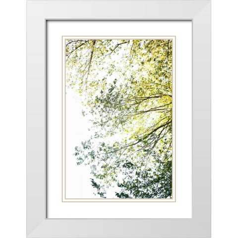 Trees II White Modern Wood Framed Art Print with Double Matting by Millet, Karyn
