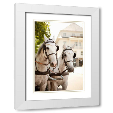 Bridled Horses White Modern Wood Framed Art Print with Double Matting by Millet, Karyn