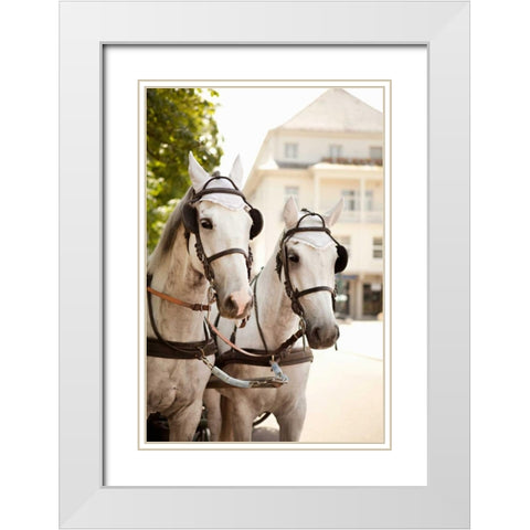 Bridled Horses White Modern Wood Framed Art Print with Double Matting by Millet, Karyn