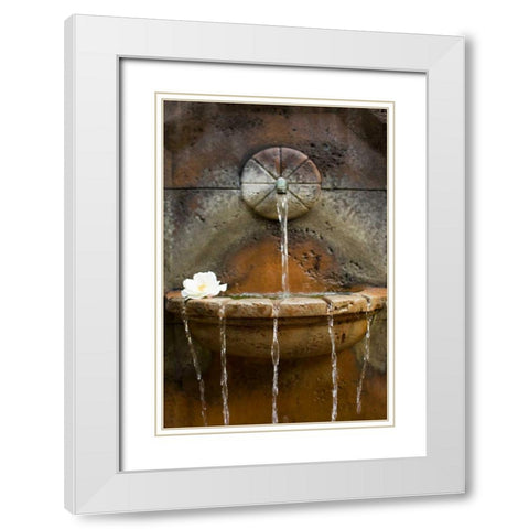 Fountain I White Modern Wood Framed Art Print with Double Matting by Millet, Karyn