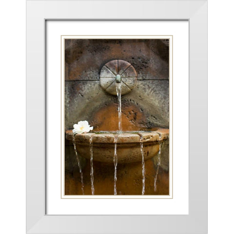 Fountain I White Modern Wood Framed Art Print with Double Matting by Millet, Karyn