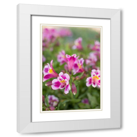 Purple and White I White Modern Wood Framed Art Print with Double Matting by Millet, Karyn