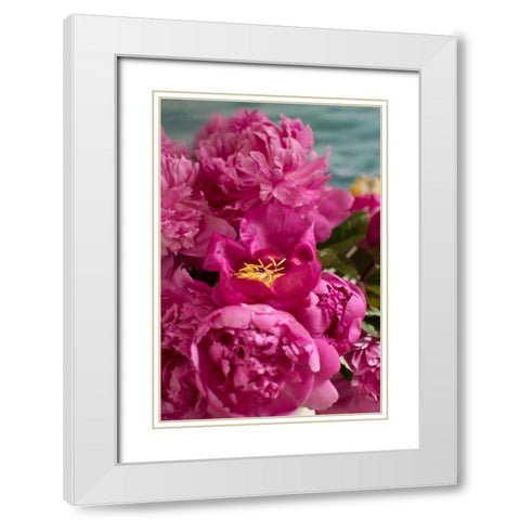 Fuchsia Peonies II White Modern Wood Framed Art Print with Double Matting by Millet, Karyn