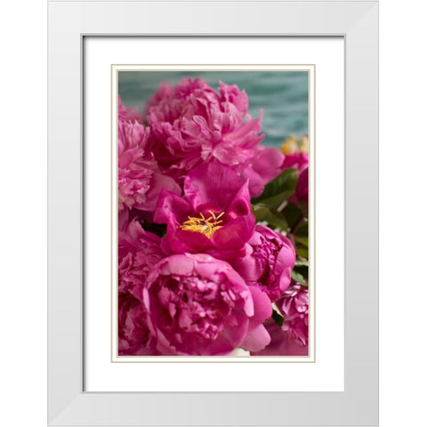 Fuchsia Peonies II White Modern Wood Framed Art Print with Double Matting by Millet, Karyn