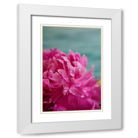 Fuchsia Peonies III White Modern Wood Framed Art Print with Double Matting by Millet, Karyn