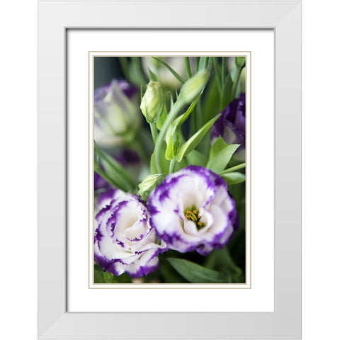 Purple Tipped Floral I White Modern Wood Framed Art Print with Double Matting by Millet, Karyn