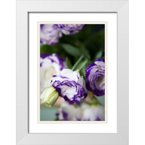 Purple Tipped Floral II White Modern Wood Framed Art Print with Double Matting by Millet, Karyn
