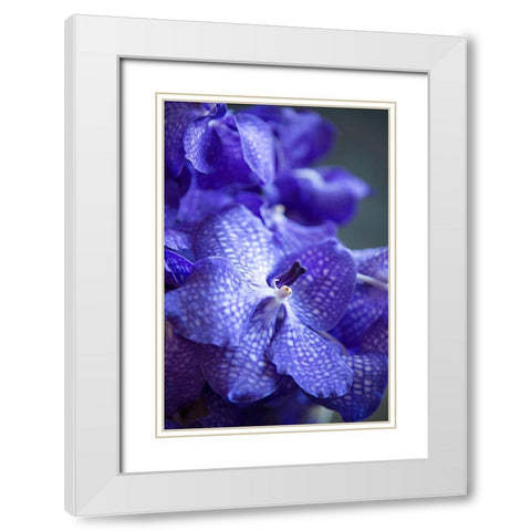 Vibrant Periwinkle Floral I White Modern Wood Framed Art Print with Double Matting by Millet, Karyn