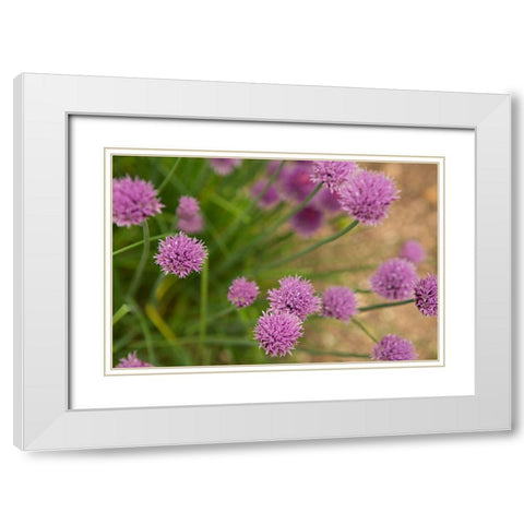 Purple Flower Ball I White Modern Wood Framed Art Print with Double Matting by Millet, Karyn
