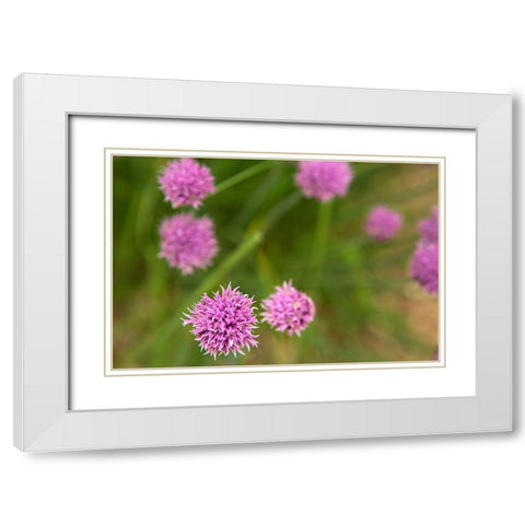Purple Flower Ball II White Modern Wood Framed Art Print with Double Matting by Millet, Karyn