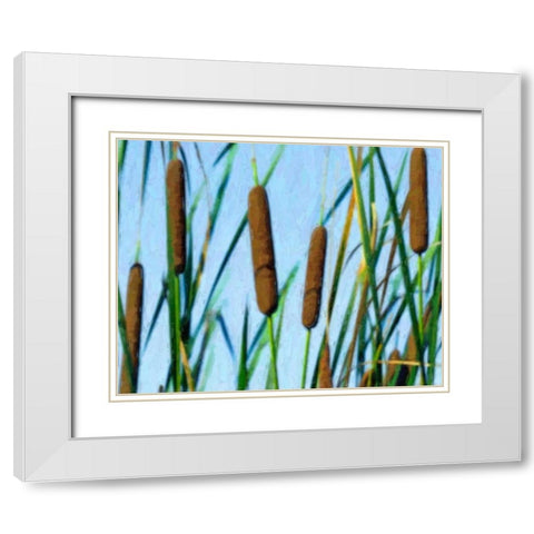 Cattailes White Modern Wood Framed Art Print with Double Matting by McNemar, C. Thomas