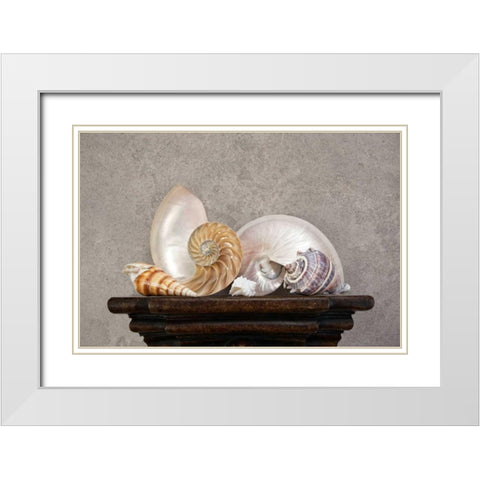 Seashell Still Life I White Modern Wood Framed Art Print with Double Matting by McNemar, C. Thomas