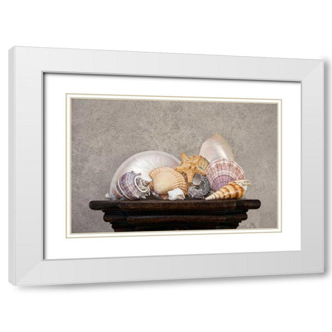 Seashell Still Life II White Modern Wood Framed Art Print with Double Matting by McNemar, C. Thomas