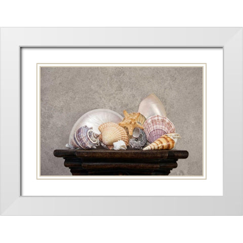 Seashell Still Life II White Modern Wood Framed Art Print with Double Matting by McNemar, C. Thomas
