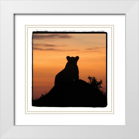 Radiant Africa III White Modern Wood Framed Art Print with Double Matting by Parker, Susann