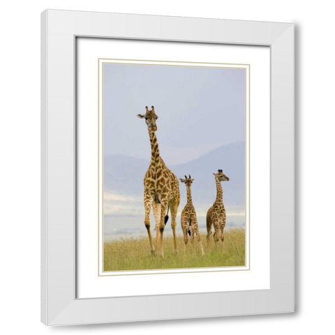 Savannah Strut White Modern Wood Framed Art Print with Double Matting by Parker, Susann