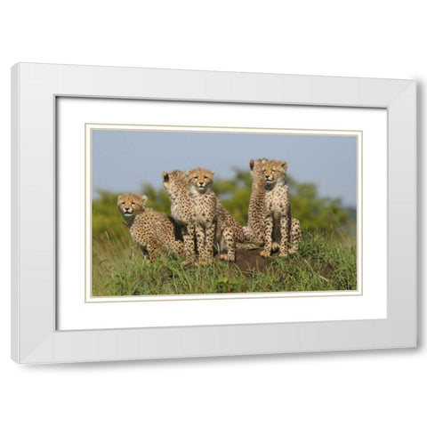 The Tribe White Modern Wood Framed Art Print with Double Matting by Parker, Susann