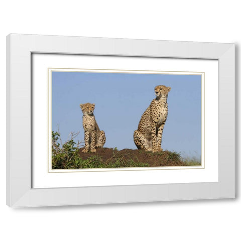 Set by Example White Modern Wood Framed Art Print with Double Matting by Parker, Susann