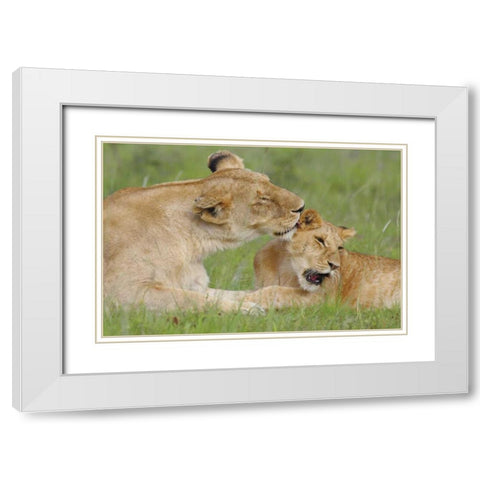 Gratitude White Modern Wood Framed Art Print with Double Matting by Parker, Susann