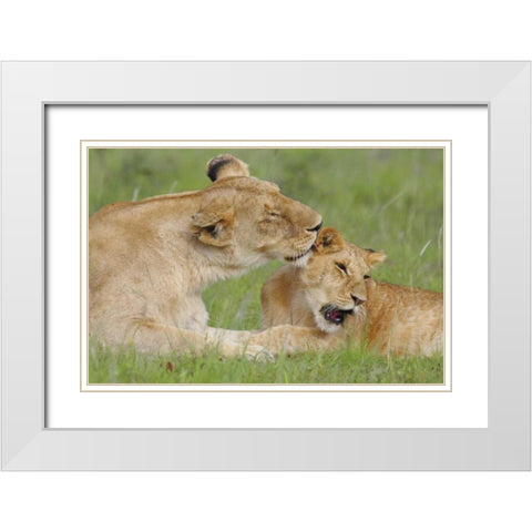 Gratitude White Modern Wood Framed Art Print with Double Matting by Parker, Susann