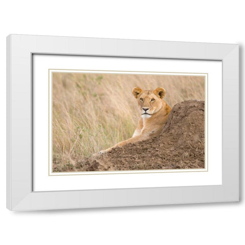 Vantage Point White Modern Wood Framed Art Print with Double Matting by Parker, Susann