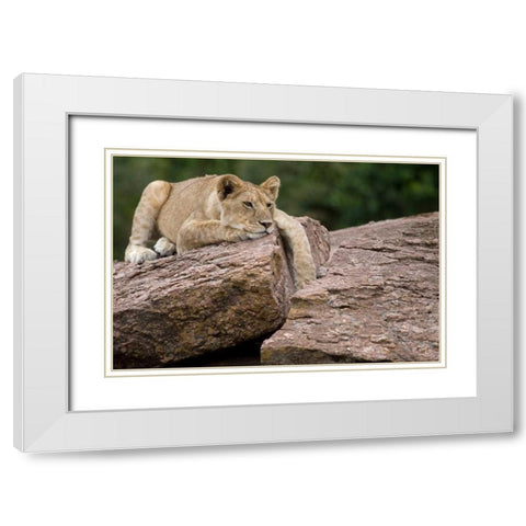 Lounging White Modern Wood Framed Art Print with Double Matting by Parker, Susann