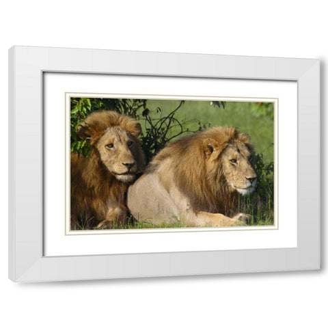The Duo White Modern Wood Framed Art Print with Double Matting by Parker, Susann