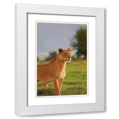 On Guard White Modern Wood Framed Art Print with Double Matting by Parker, Susann