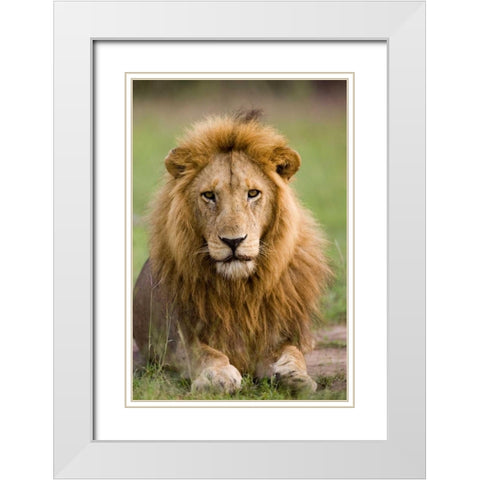 The King White Modern Wood Framed Art Print with Double Matting by Parker, Susann