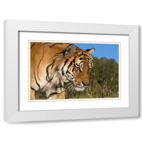 Emerging White Modern Wood Framed Art Print with Double Matting by Parker, Susann