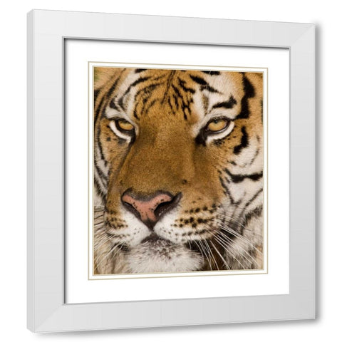 Stunning White Modern Wood Framed Art Print with Double Matting by Parker, Susann