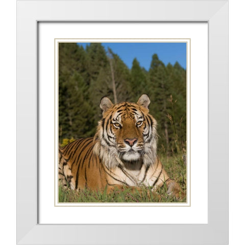 Subtle Beauty White Modern Wood Framed Art Print with Double Matting by Parker, Susann