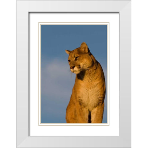 The Perfect View White Modern Wood Framed Art Print with Double Matting by Parker, Susann