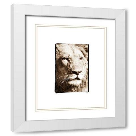 True I White Modern Wood Framed Art Print with Double Matting by Parker, Susann