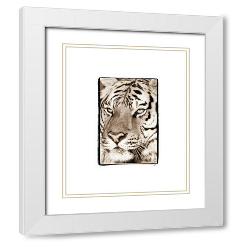 True II White Modern Wood Framed Art Print with Double Matting by Parker, Susann