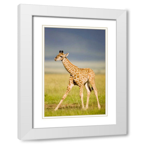 First Steps White Modern Wood Framed Art Print with Double Matting by Parker, Susann