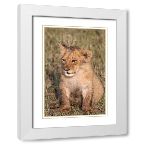 New Beginnings White Modern Wood Framed Art Print with Double Matting by Parker, Susann