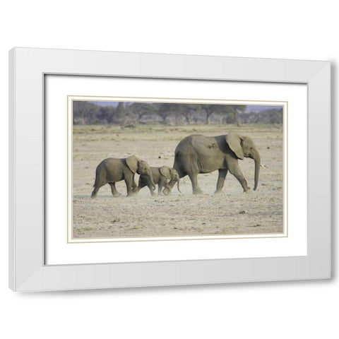 Memory Lane White Modern Wood Framed Art Print with Double Matting by Parker, Susann