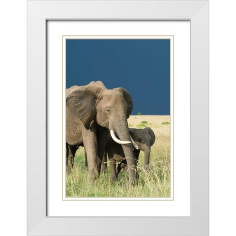 Protection White Modern Wood Framed Art Print with Double Matting by Parker, Susann