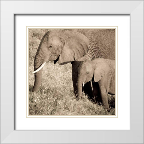 The Ultimate Bonding White Modern Wood Framed Art Print with Double Matting by Parker, Susann