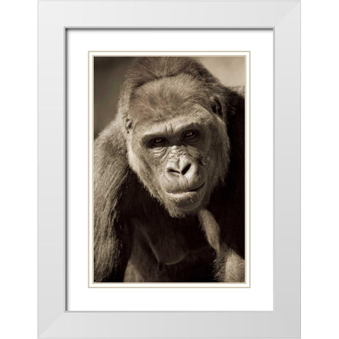 Planet of the Apes White Modern Wood Framed Art Print with Double Matting by Parker, Susann