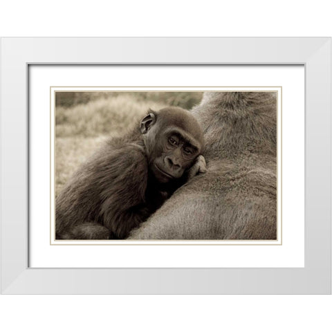 Security White Modern Wood Framed Art Print with Double Matting by Parker, Susann