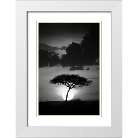 Kenta Sunrise White Modern Wood Framed Art Print with Double Matting by Parker, Susann