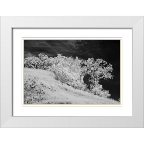 Cayucos III White Modern Wood Framed Art Print with Double Matting by Peterson, Lee