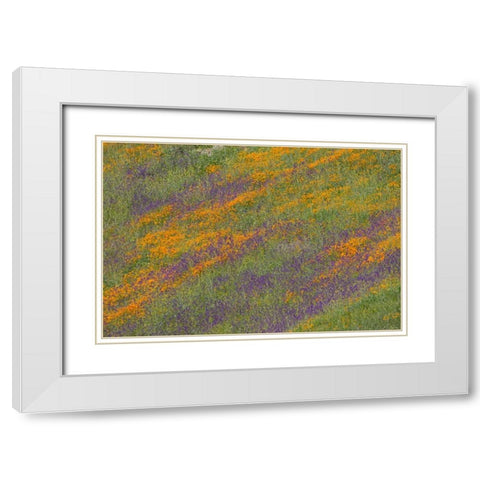 Wildflower Hills III White Modern Wood Framed Art Print with Double Matting by Peterson, Lee