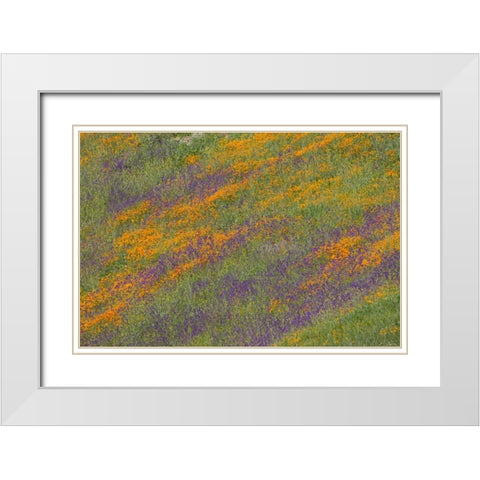 Wildflower Hills III White Modern Wood Framed Art Print with Double Matting by Peterson, Lee