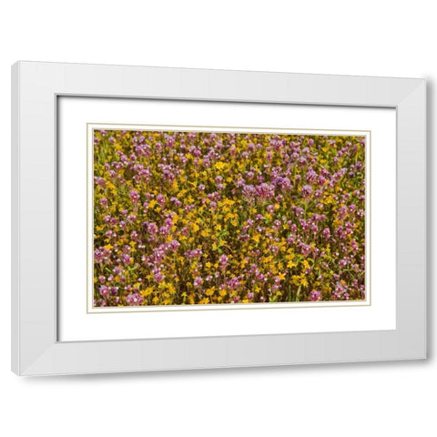 Yellow and Purple White Modern Wood Framed Art Print with Double Matting by Peterson, Lee