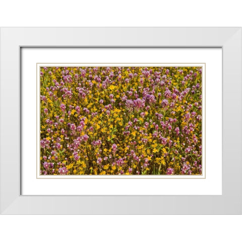 Yellow and Purple White Modern Wood Framed Art Print with Double Matting by Peterson, Lee